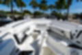 New 2023 Blackfin 302CC image 63