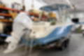 New 2023 Cobia 240 DC image 3