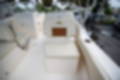 New 2022 Cobia 220 DC image 14